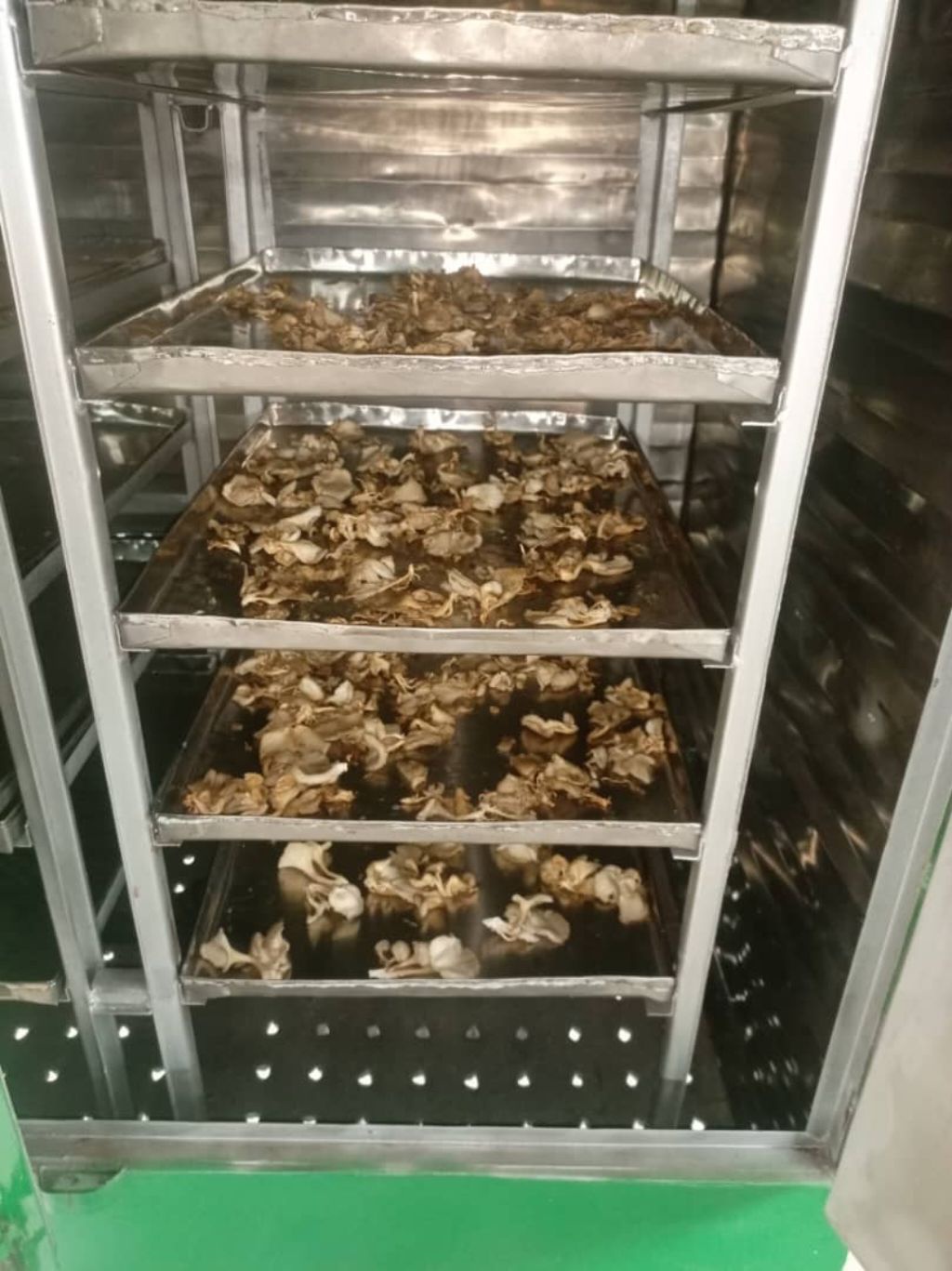 Séchage des champignons