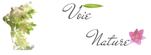 Voie Nature — écologie et innovation sociale